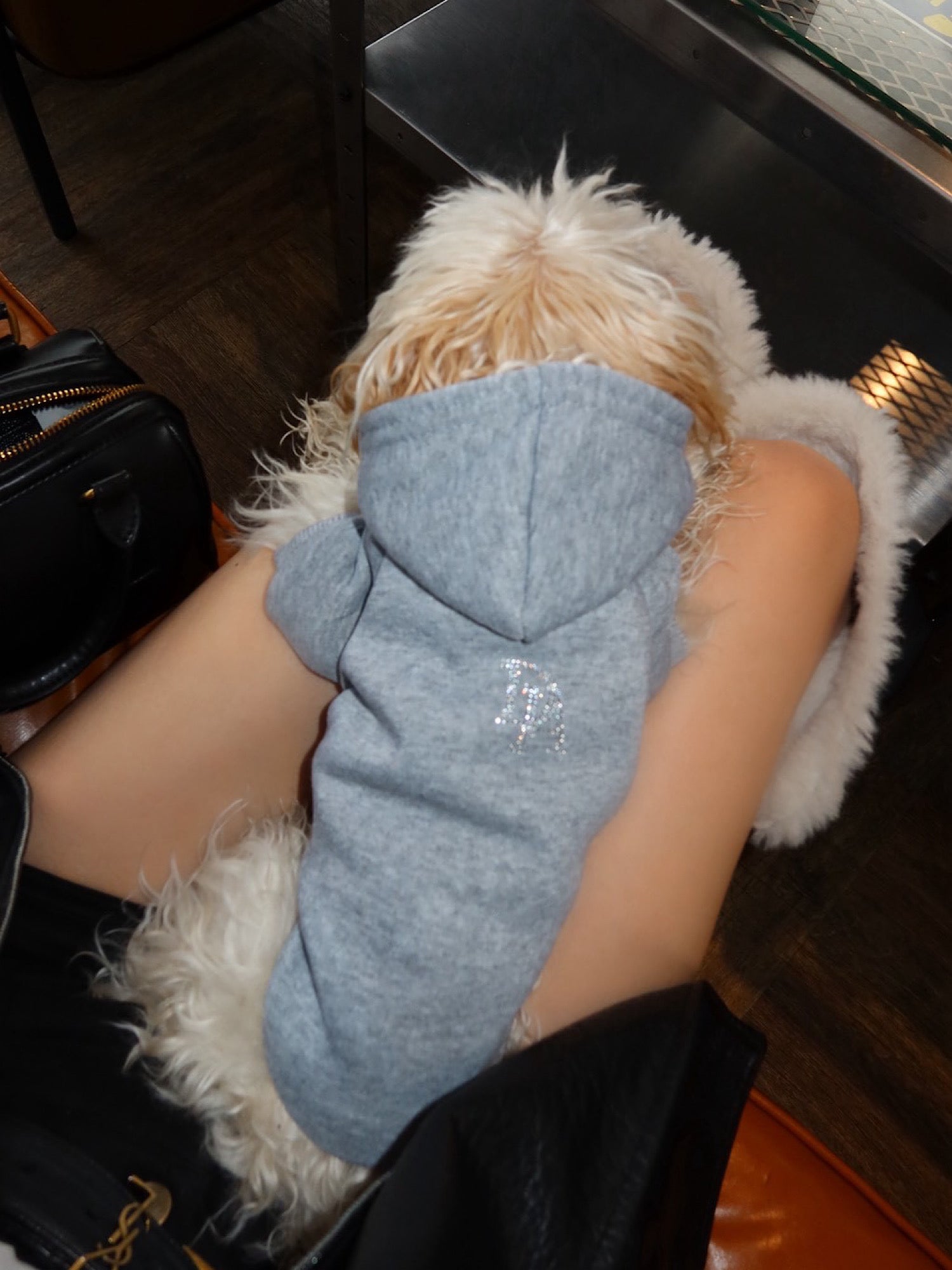 Rhinestone dog wear
