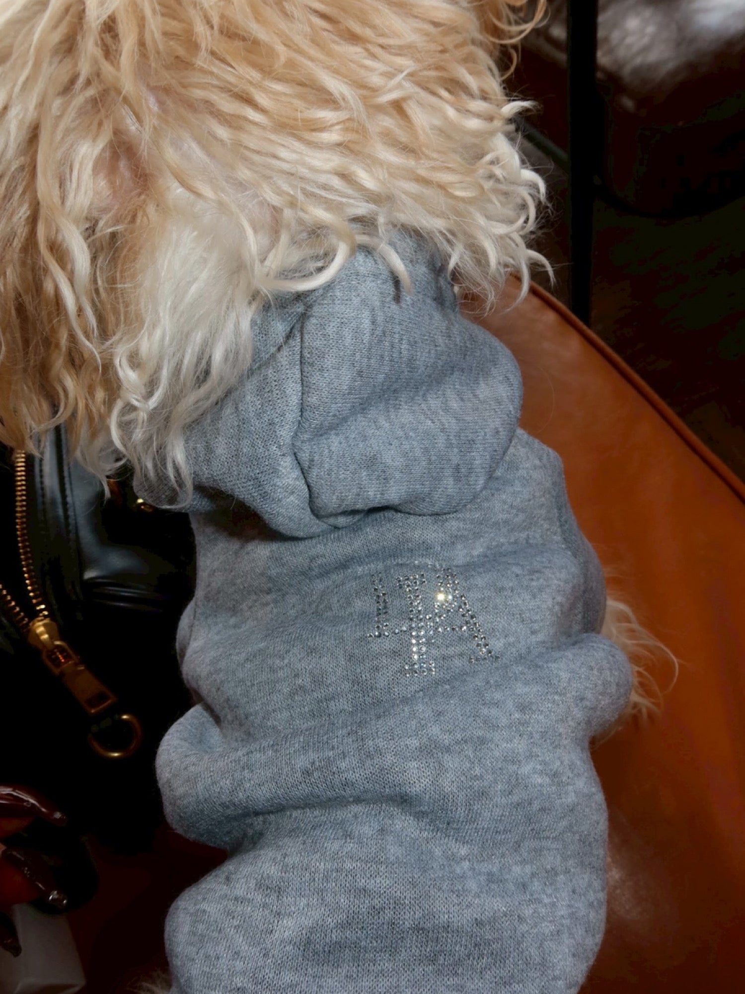 Rhinestone dog wear