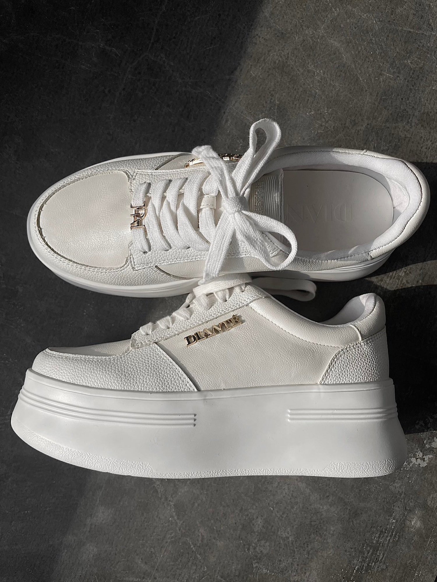 【予約】DIANTÉ logo sole sneakers(12月中旬〜下旬発送予定)