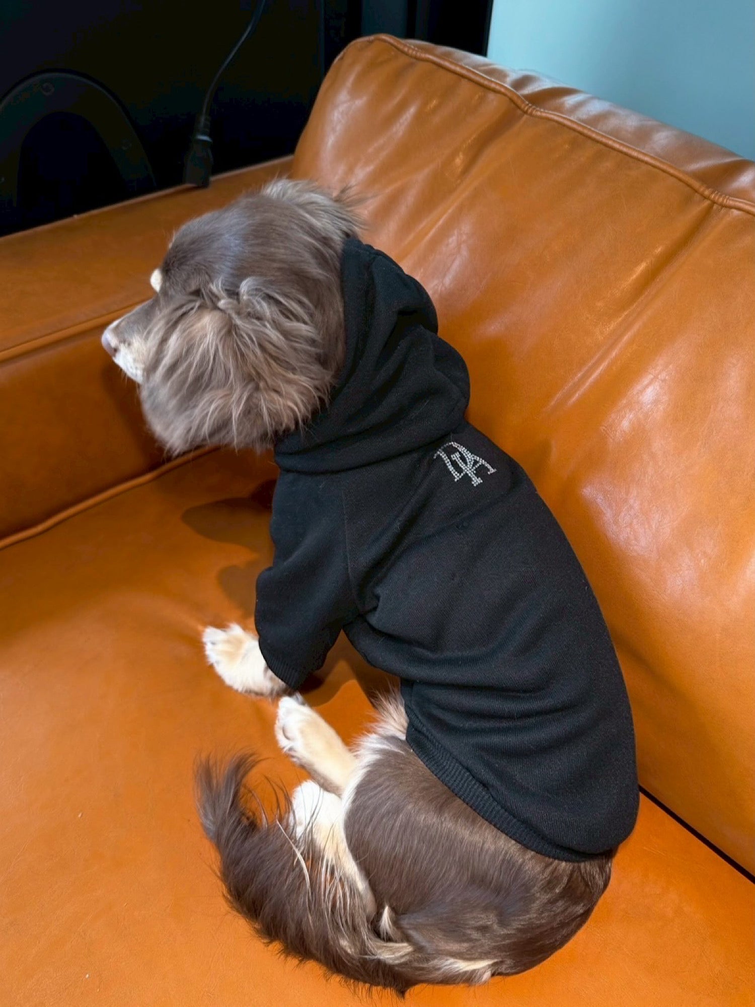 Rhinestone dog wear