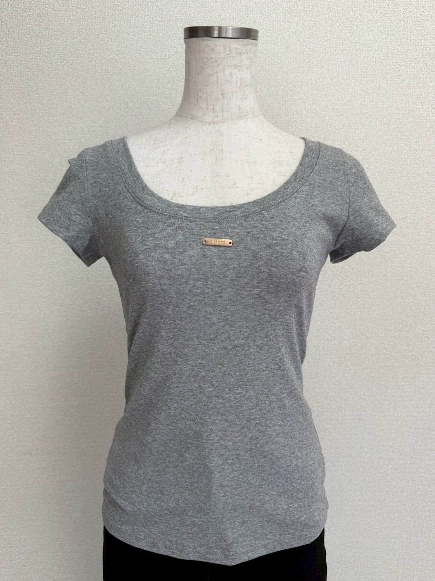 Accent logo cropped Tee