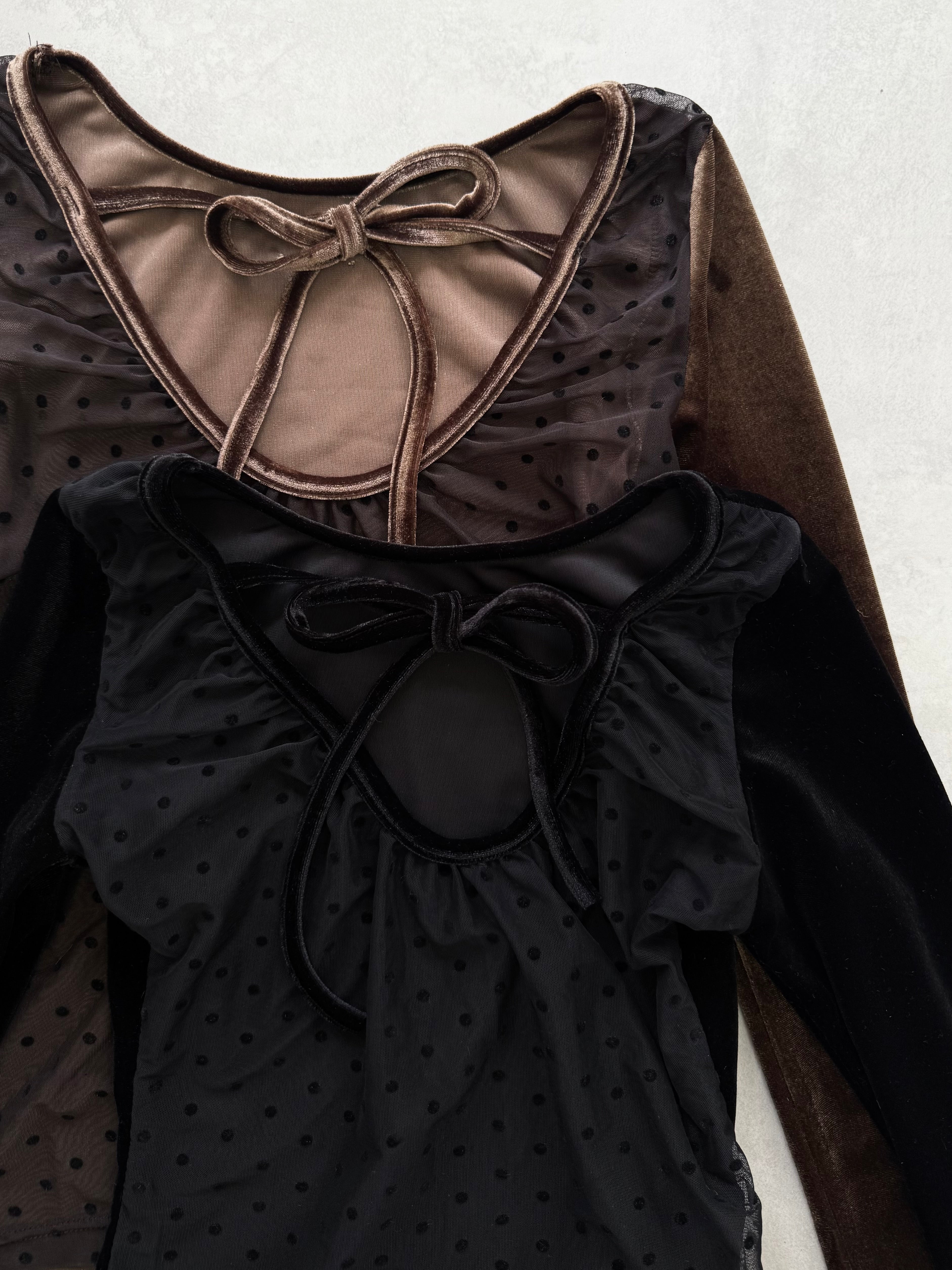 【予約】Back sheer velor tops(9月上旬発送予定)